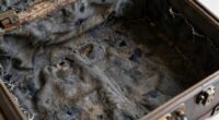 cleaning fabric trunk stains