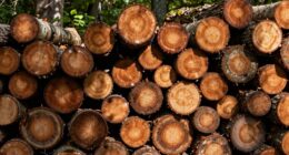 maximum safe stacking height