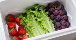 protect delicate produce efficiently