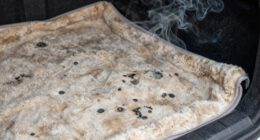 trunk odor causes and remedies