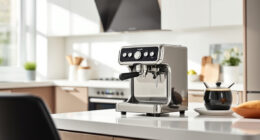 De'Longhi Espresso Machine Water Leak Fixes & Causes