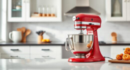 KitchenAid Professional 600 vs Classic: Full Comparison