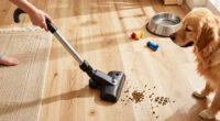 6 Top-Rated Wet-Dry Vacuums That Will Clean Up After Pets And Kids Effortlessly