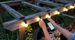 12 Best Smart Outdoor String Lights for Patios and Gardens in 2027
