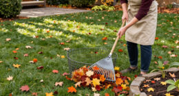 Don’t Throw Out Your Raked Leaves—Here Are 7 Smart Things To Do With Them Instead